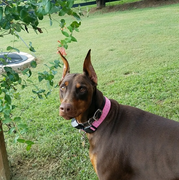 Meet your Posher, Rebecca - Picture 1 of 6